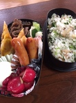 春のお弁当.jpeg