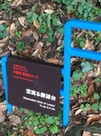 高良山 奥の院.JPG